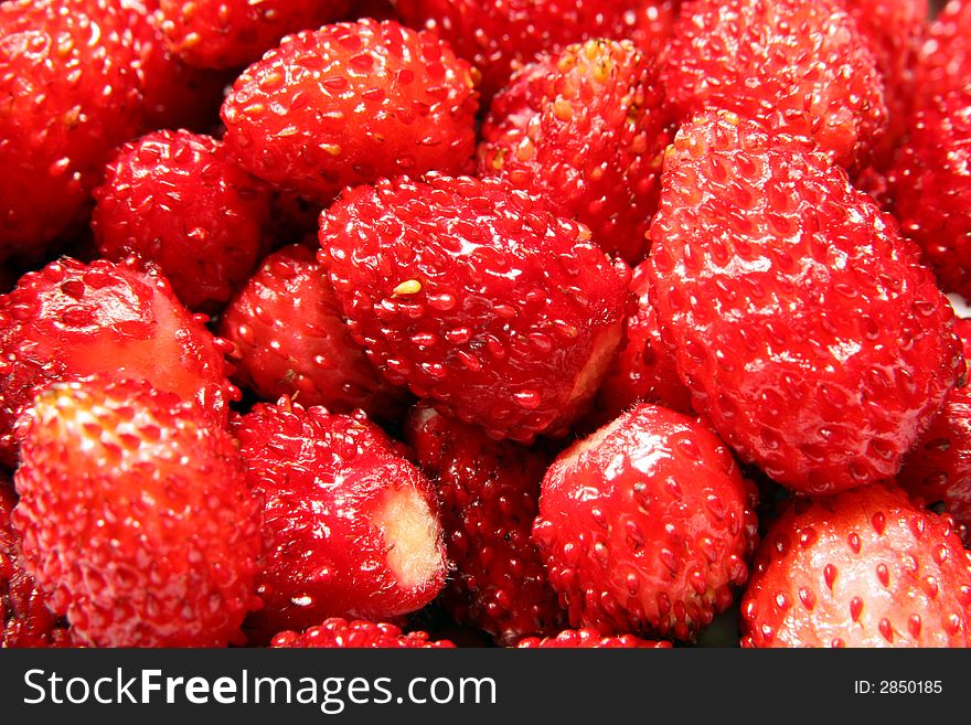 Fruits of wild strawberry photographed close up