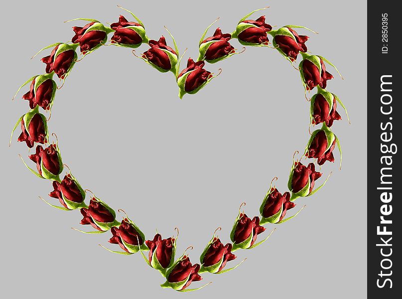 Heart from buds of roses. Heart from buds of roses