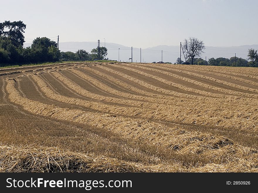 Hay field that has been recently reaped. Hay field that has been recently reaped.