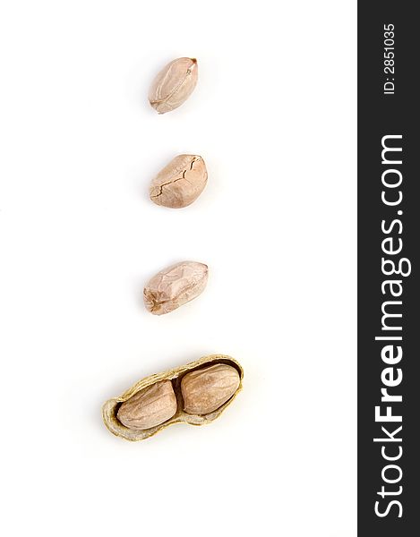 Grounds Nuts Exposed with shell on white background. Grounds Nuts Exposed with shell on white background