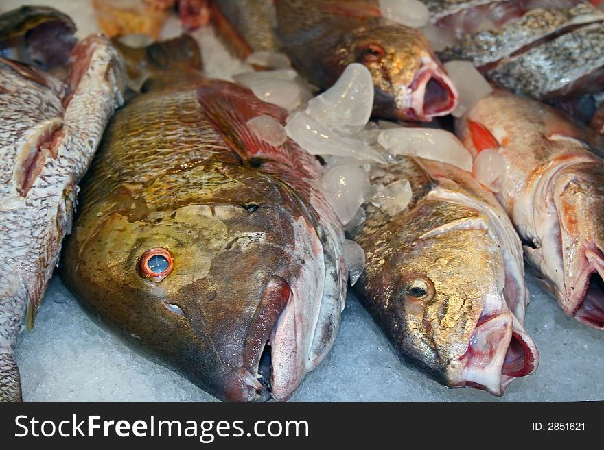 Close up of fish displayed in a fish market