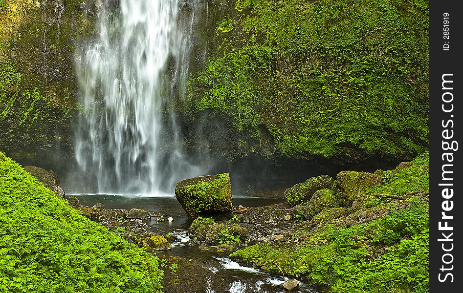 Beautiful waterfall in the rainforests of the pacific northwest. Beautiful waterfall in the rainforests of the pacific northwest