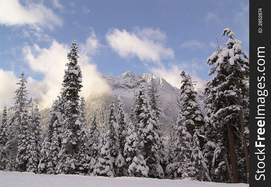 Fresh snow in North Cascades National Park, Washington. Fresh snow in North Cascades National Park, Washington.