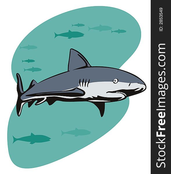 Vector art of a Great white shark