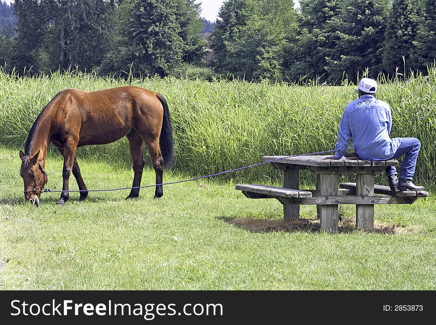 In the wilderness surrounding Seattle a man relaxes with his horse. In the wilderness surrounding Seattle a man relaxes with his horse