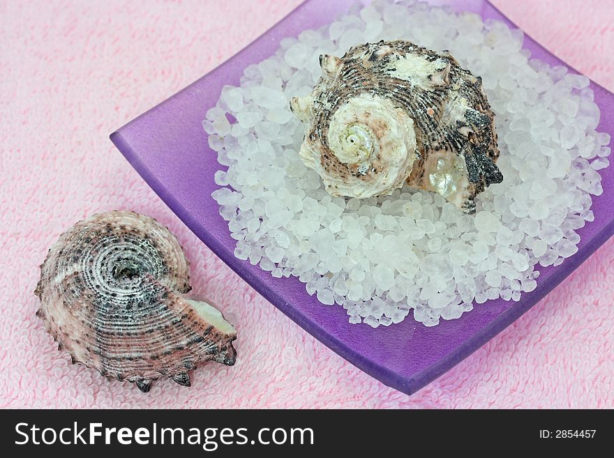 Sea salt and two seashells on pink towel