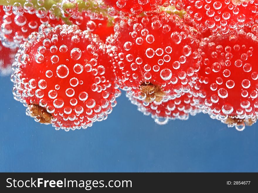 Red Currant In Water