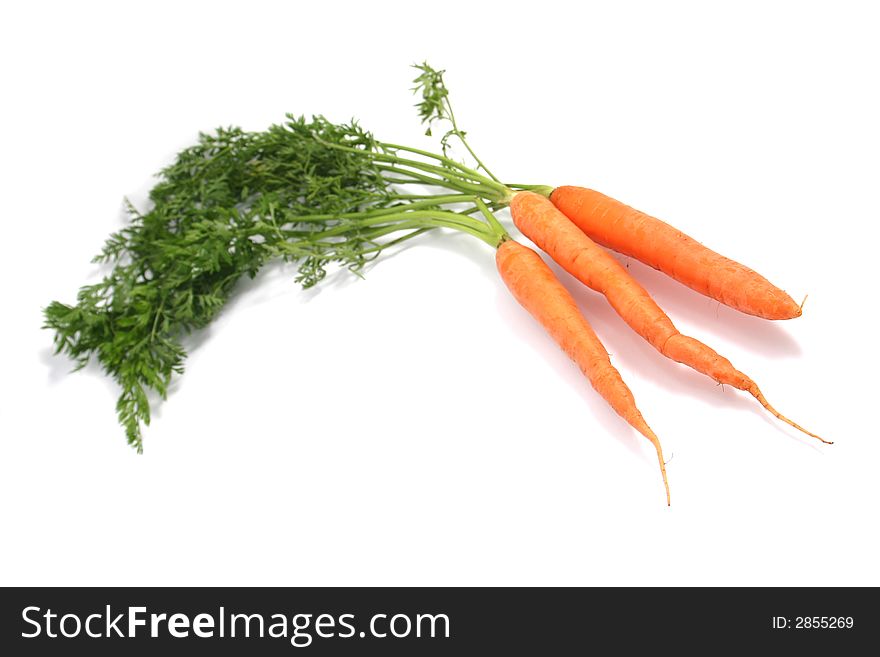 Fresh carrots on white background