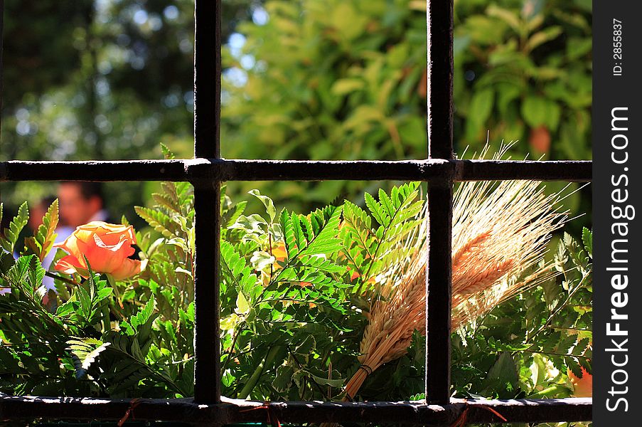 At lovely wiew from the church windows. At lovely wiew from the church windows