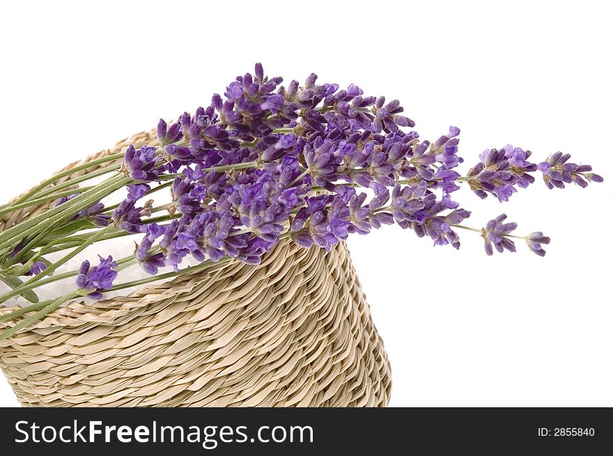 Lavender bath items isolated on the white backround. fresh flowers and salt.