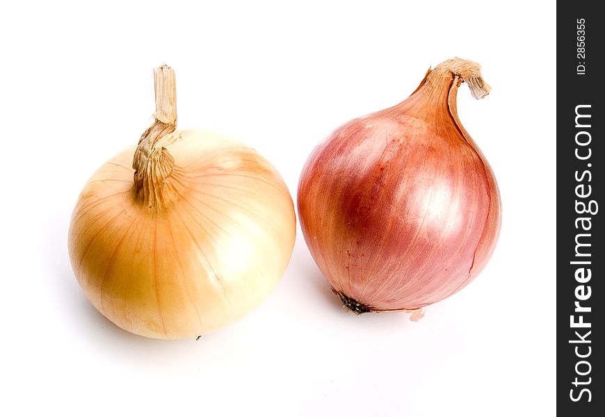 Onions studio isolated on white background