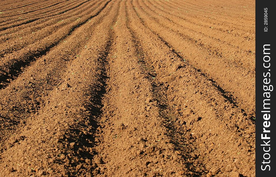 Ploughed feild ready for planting in market garden. Ploughed feild ready for planting in market garden