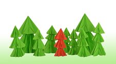 Red Conifer Royalty Free Stock Images Red Conifer Royalty Free Stock Images