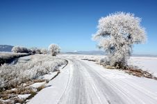 Country Road And Winter Frost Royalty Free Stock Photos Country Road And Winter Frost Royalty Free Stock Photos
