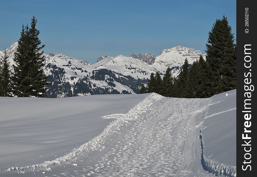 Winter Scenery In Gstaad