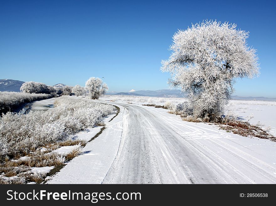 Country Road and Winter Frost