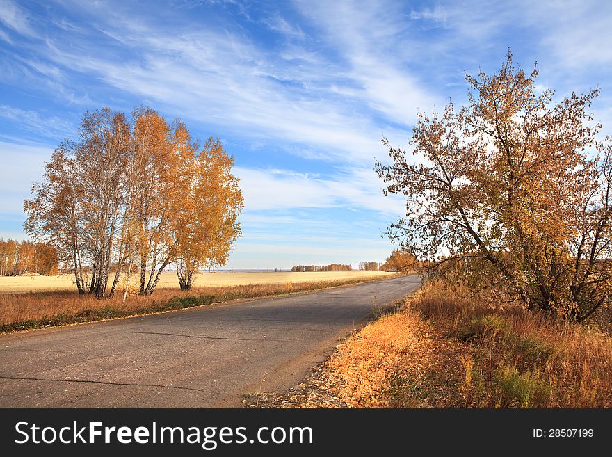 Road to the fields. Autumn landscape. Omsk Region. Russia.