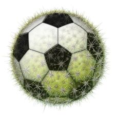 Cactus Soccer Ball Stock Photo Cactus Soccer Ball Stock Photo
