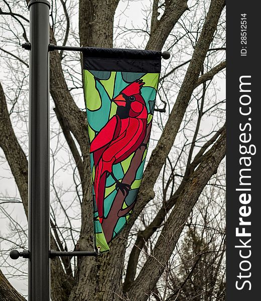 Flag of a Cardinal on a city lampost