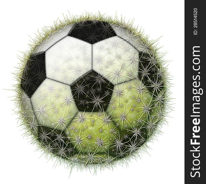 Digital illustration of a soccer ball with a cactus texture. Digital illustration of a soccer ball with a cactus texture.