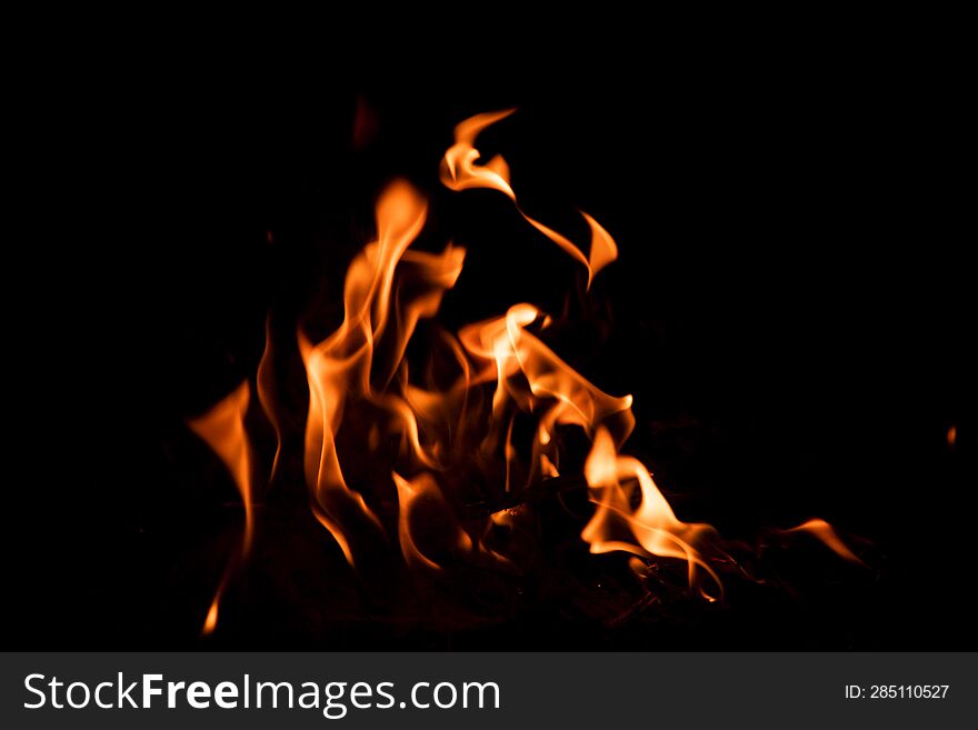 Fire Burns On A Black Background