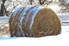 Hay Bale In The Snow Royalty Free Stock Image