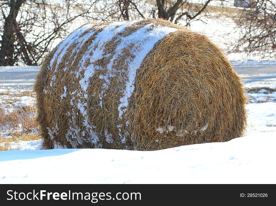 Hay bale in the snow