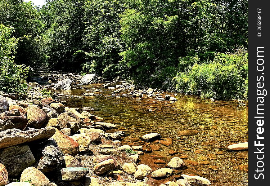 Picture Of A Stream In A Rural Area