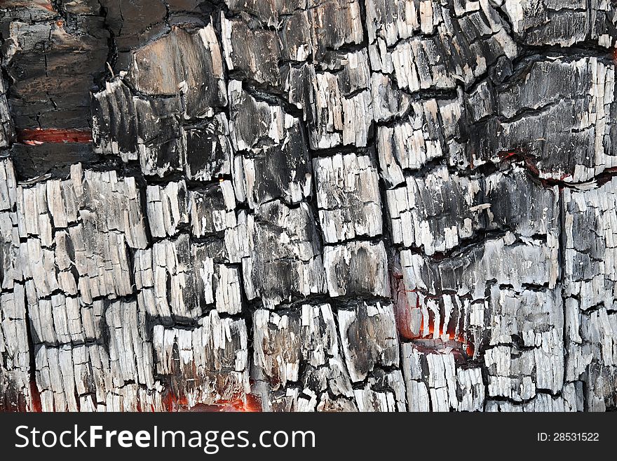 Abstract background detail of burnt wood or charcoal with a cracked blackened surface with grey ash