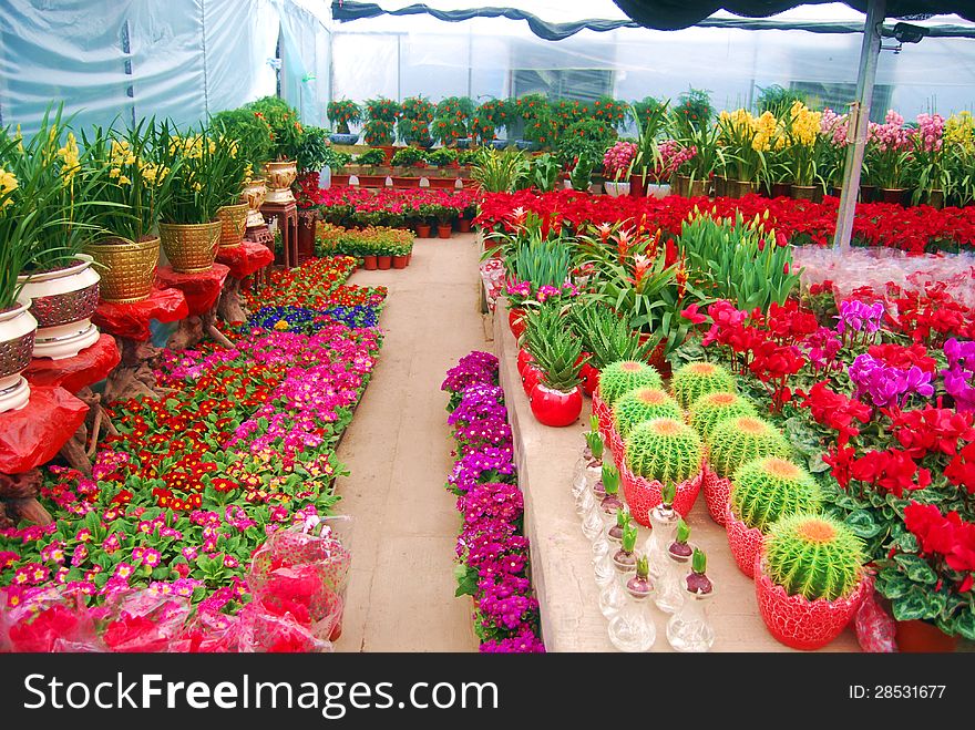 Image shows an outdoors farmer's flower market in China