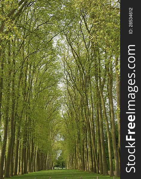 Garden in Versailles palace, Paris, France