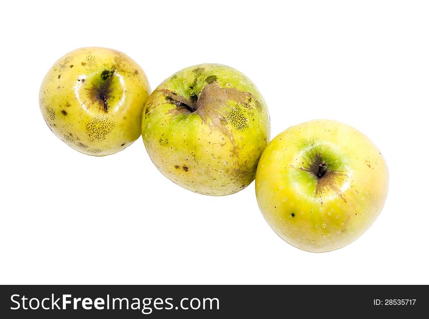 Three yellow organic apples on a white background