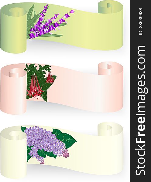 Paper scroll banners with lavender, lilac and fuchsia