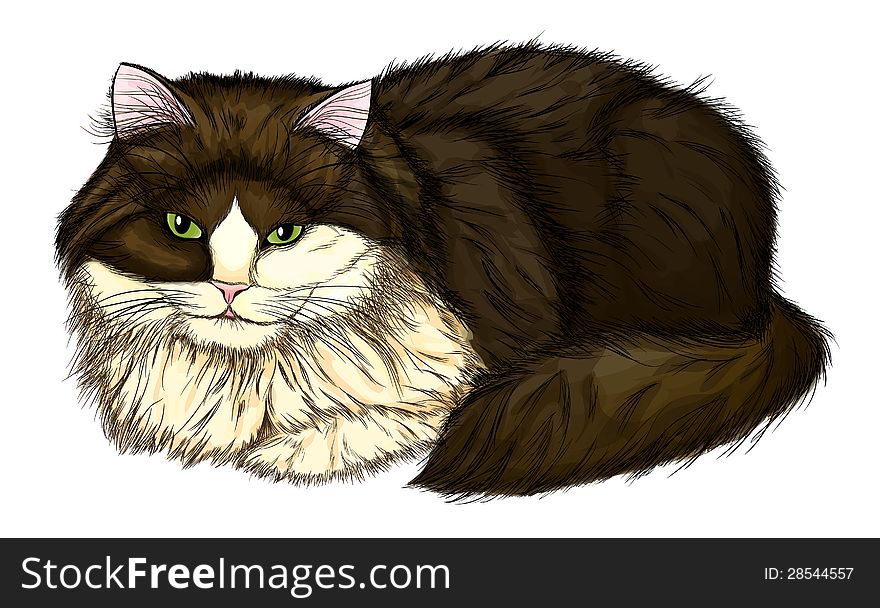 Beautiful, large and fluffy cat. Painted in a realistic style that imitates watercolor