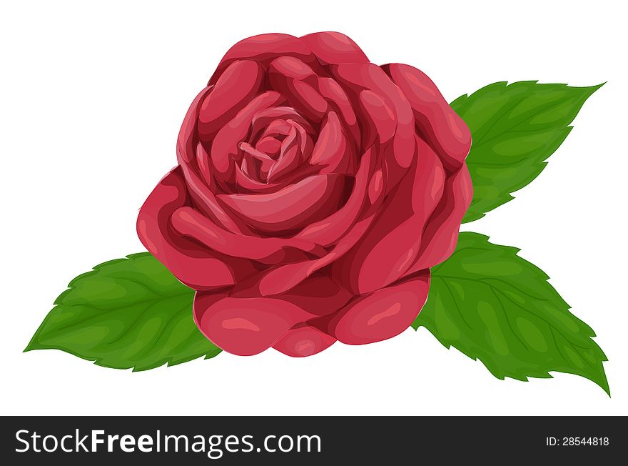 Beautiful Pink Rose With Leaves Isolated On White Background, Imitation Of Watercolors