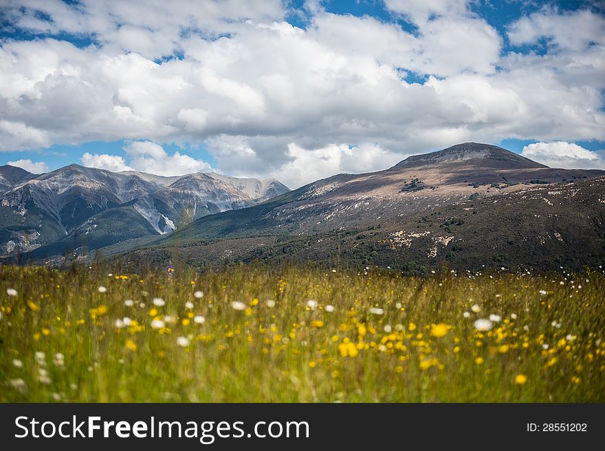 Beautiful Mountain And Flowers, Summer In New Zealand.