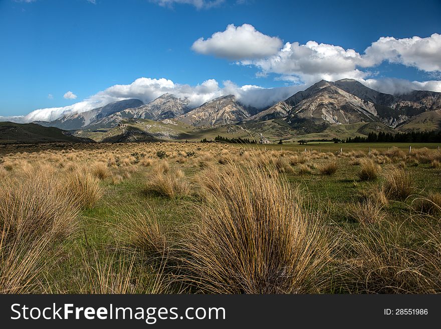 Beautiful Mountain And Field, Summer In New Zealand.