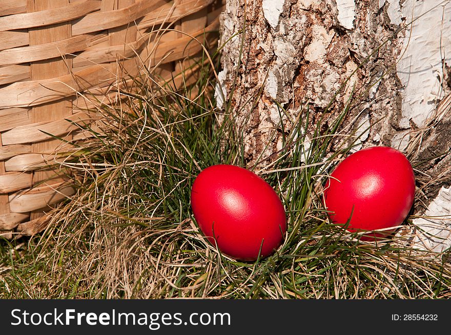 Red Easter eggs in a nest of grass- near basket.
