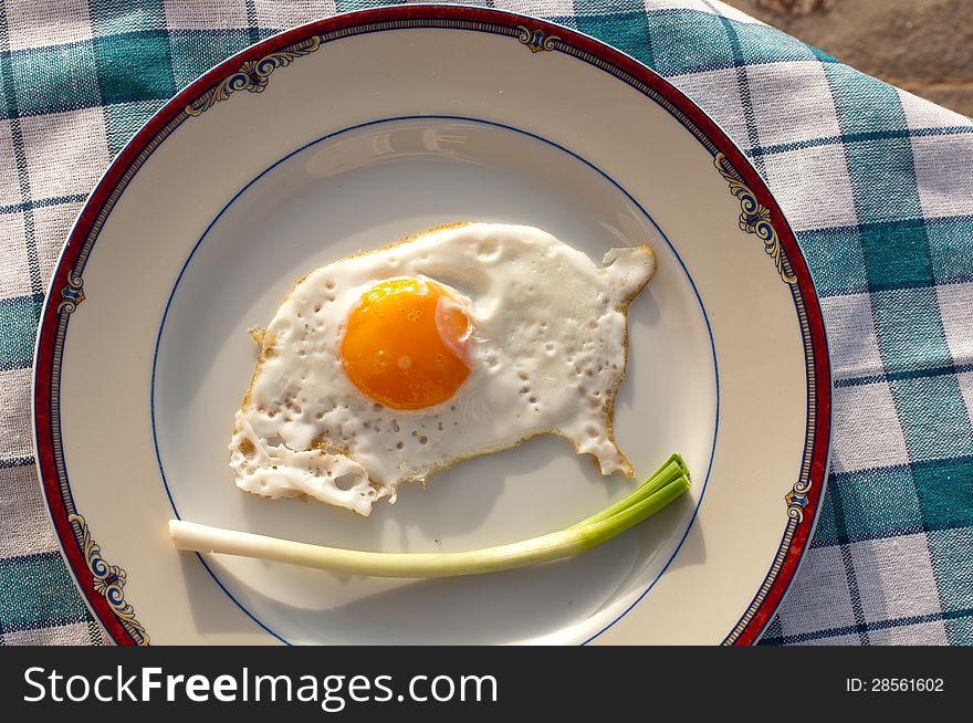 Fried egg and  onion stalk in a plate. Fried egg and  onion stalk in a plate