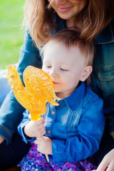 Tasty Yellow Cockerel Royalty Free Stock Photo Tasty Yellow Cockerel Royalty Free Stock Photo