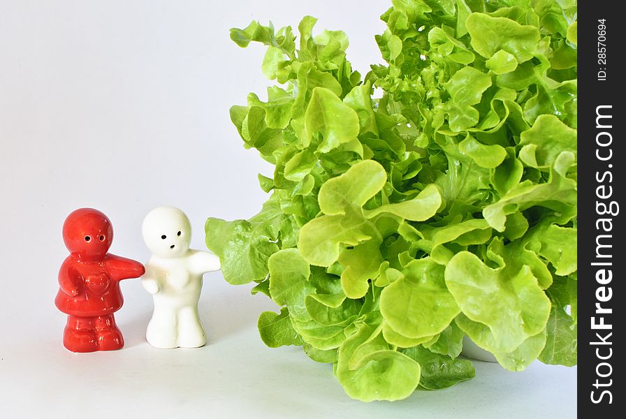 Ceramic dolls with green oak leaf lettuce  on white background