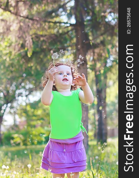 Little baby girl blowing dandelion