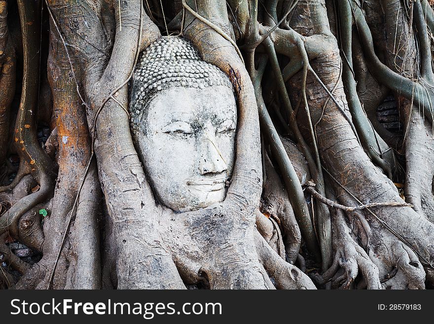 The head of Buddha in Wat Mahathat