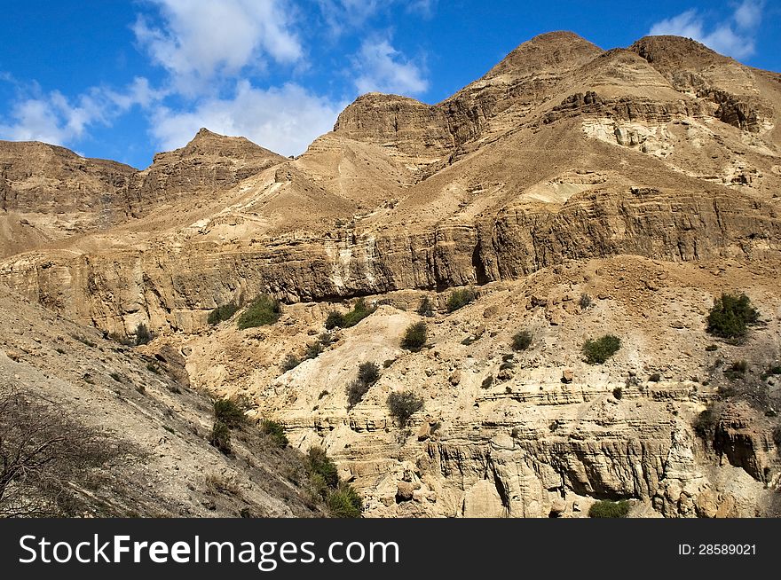 Landscape in the Judean Hills