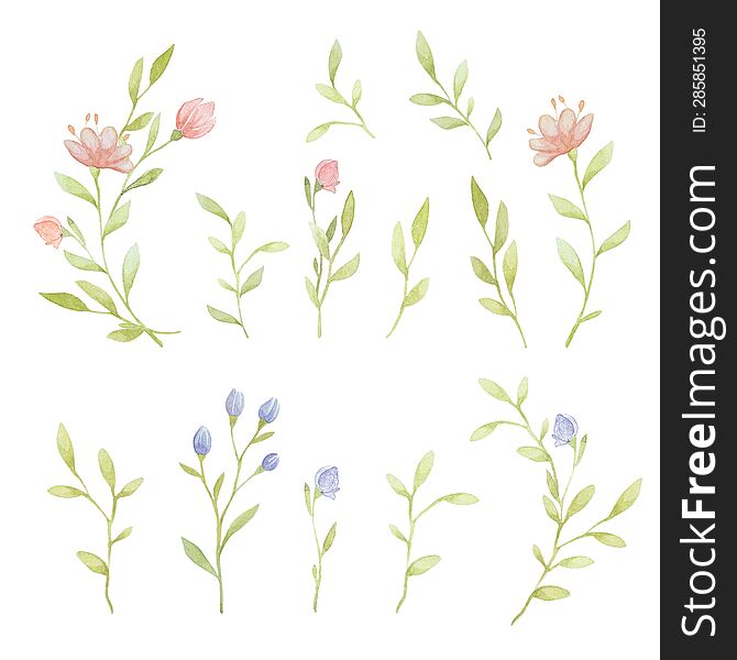 Rustic Floral Clipart, Branch Watercolor Clipart, Watercolor Rustic Flowers, Watercolor Elements Isolated, Free Flower Clipart