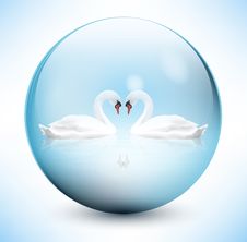 Swans In Sphere Royalty Free Stock Images