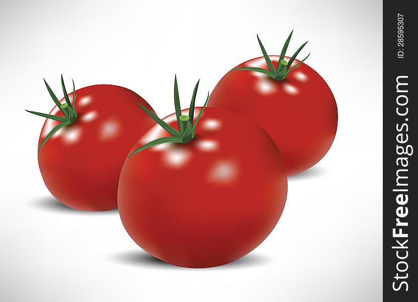 Illustration of realistic tomatoes scenery