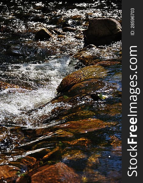 Black Forest - a stream in the summer