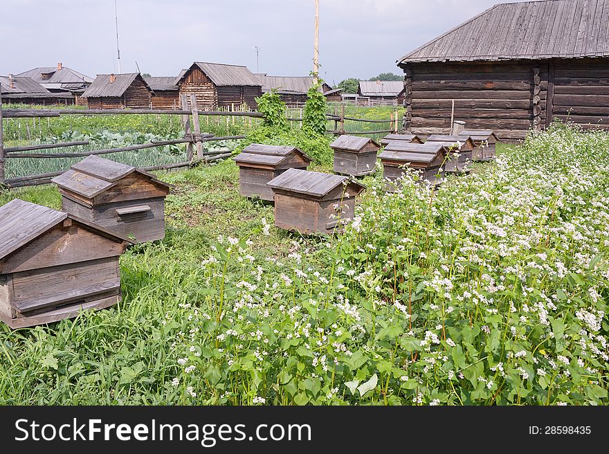 Hives against the background of the village in the  summer day. Hives against the background of the village in the  summer day.