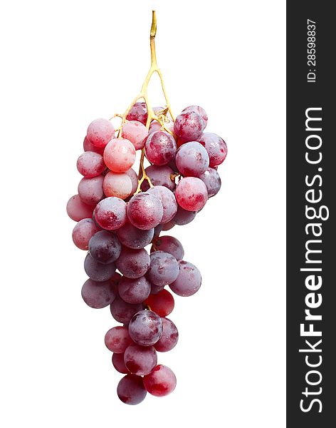 Tasty bunch of red grapes,isolated on white background. Tasty bunch of red grapes,isolated on white background